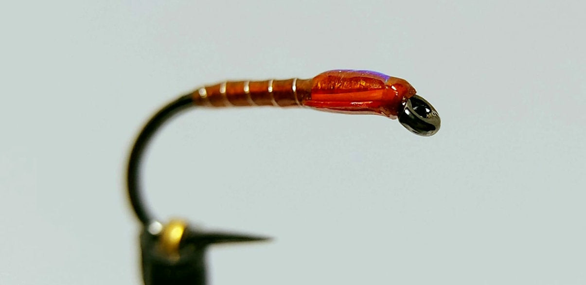 3x Fiery Brown Flashback Buzzers - trout flies