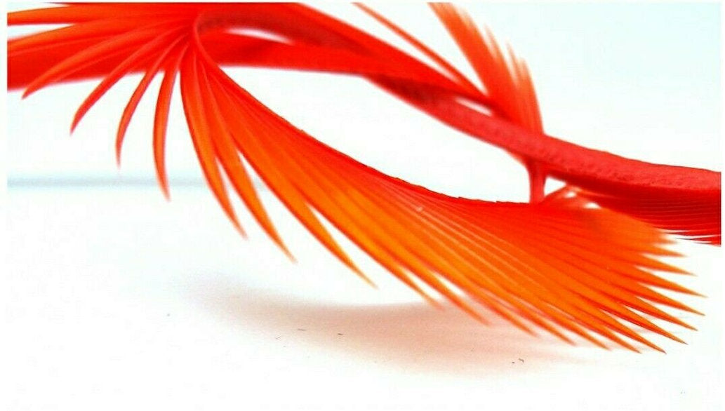 Fly Tying - Semperfli Inferno Goose Biots - Red