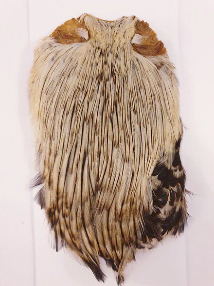 Indian Cock Neck/Cape | Turrall fly tying materials - badger