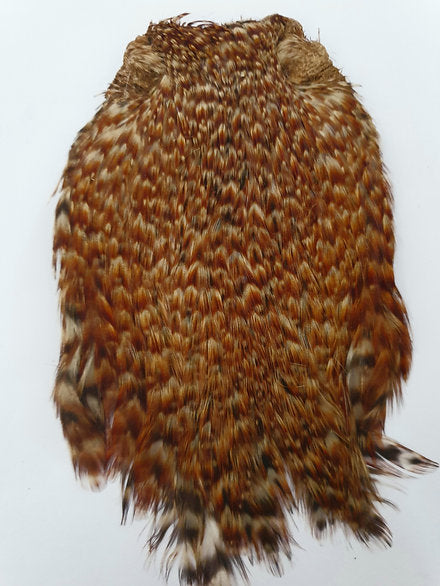 Indian Cock Neck/Cape | Turrall fly tying materials - barred ginger.