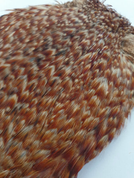 Indian Cock Neck/Cape | Turrall fly tying materials - barred ginger.