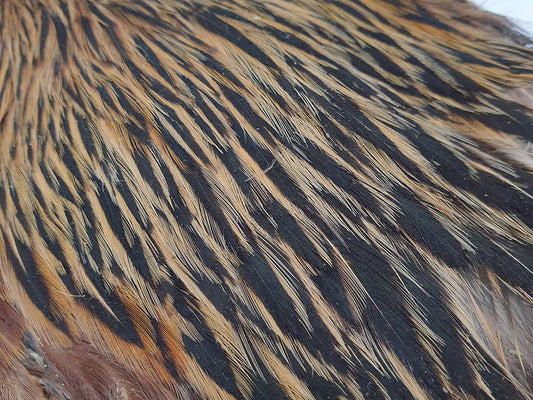 Indian Hen Neck/Cape | Turrall fly tying materials - Furnace