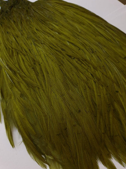 Metz Fly Tying Cock Cape | Grade 3 | Dyed Olive