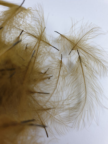 Nature's Spirit Fly Tying Duck CDC | 1g bag | Blue Winged Olive