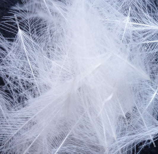 Nature's Spirit Fly Tying Duck CDC | 1g bag | White