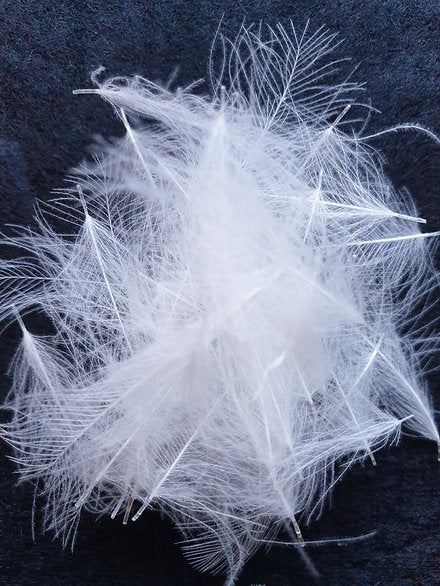 Nature's Spirit Fly Tying Duck CDC | 1g bag | White