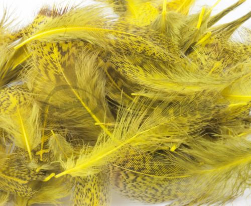 Nature's Spirit Fly Tying Premium Partridge Feathers - Yellow