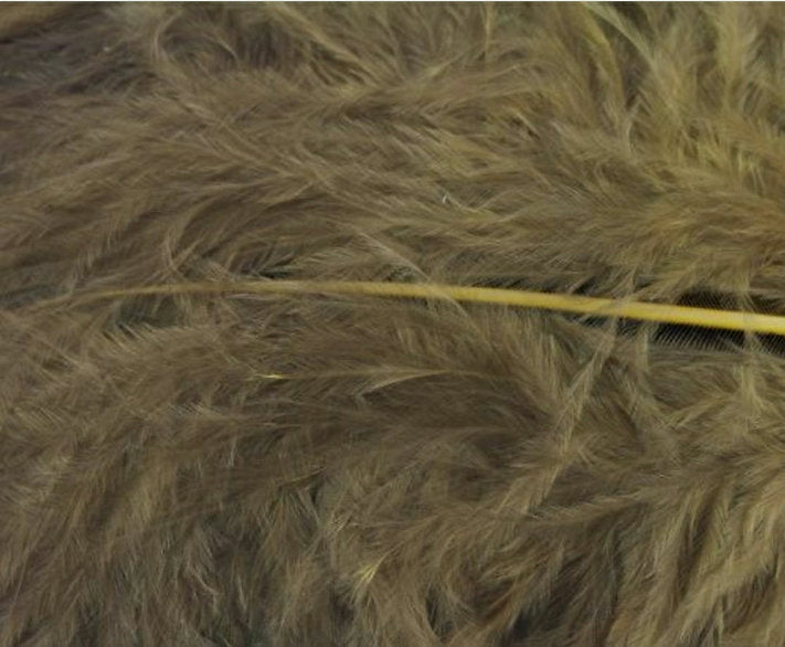 Nature's Spirit Fly Tying Prime Marabou Feathers (long) - Brown Olive