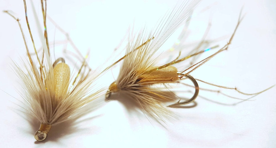 2 x foam backed Daddy trout flies | size 8 Maruto hooks