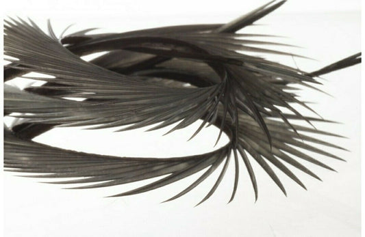 Fly Tying - Semperfli Natural Range Goose Biots - Blue Dun