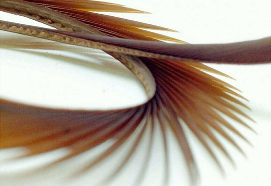 Fly Tying - Semperfli Natural Range Goose Biots - Brown