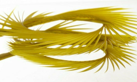 Fly Tying - Semperfli Natural Range Goose Biots - Golden Olive