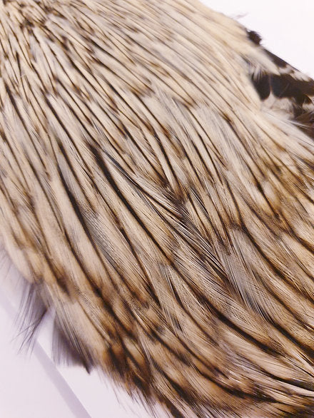 Indian Cock Neck/Cape | Turrall fly tying materials - badger