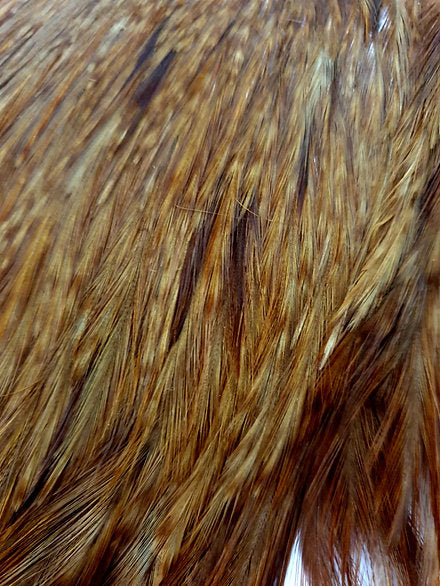 Indian Cock Neck/Cape | Turrall fly tying materials - ginger