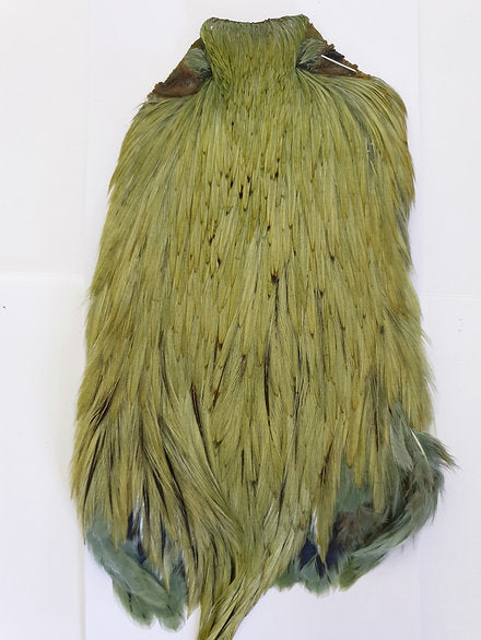 Indian Cock Neck/Cape | Turrall fly tying materials - light olive