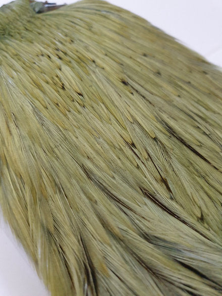 Indian Cock Neck/Cape | Turrall fly tying materials - light olive