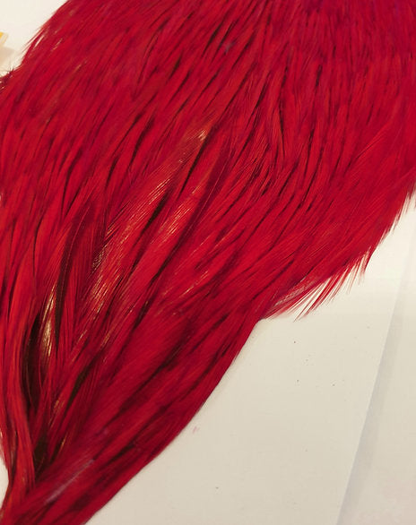 Indian Cock Neck/Cape | Turrall fly tying materials - red