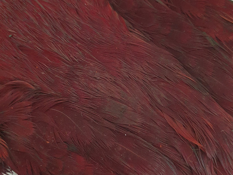 Indian Hen Neck/Cape | Turrall fly tying materials - Claret