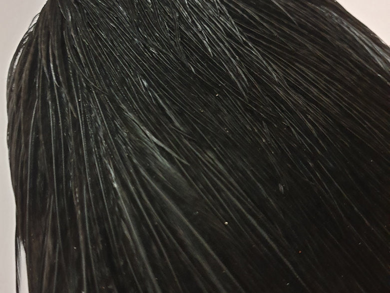 Metz Fly Tying Cock Cape | Grade 3 | Dyed Black