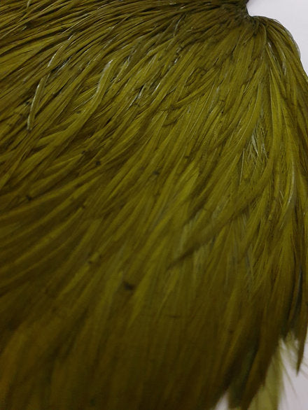 Metz Fly Tying Cock Cape | Grade 3 | Dyed Olive