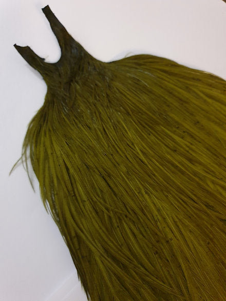 Metz Fly Tying Cock Cape | Grade 3 | Dyed Olive