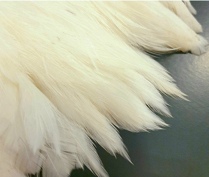 Metz Hen Cape | Grade 1 Genetic Hen Hackle - Cream