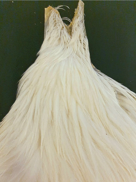 Metz Hen Cape | Grade 1 Genetic Hen Hackle - Cream