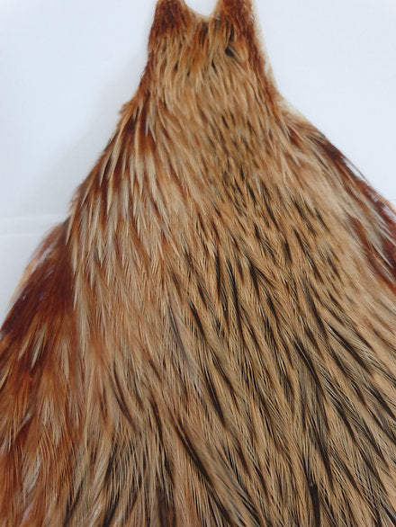 Metz Hen Cape | Grade 1 Genetic Hen Hackle - Ginger/Brown