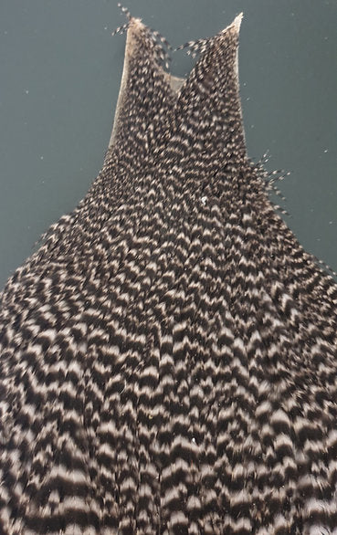 Metz Hen Cape | Grade 1 Genetic Hen Hackle - Grizzly