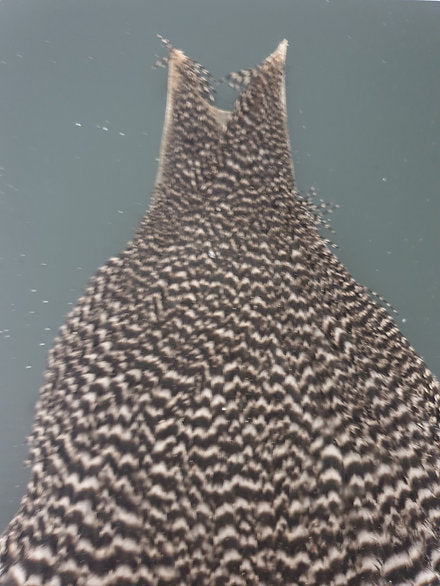 Metz Hen Cape | Grade 1 Genetic Hen Hackle - Grizzly