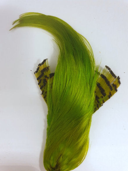 Nature's Spirit Fly Tying Golden Pheasant Crest - Fluorescent Chartreuse