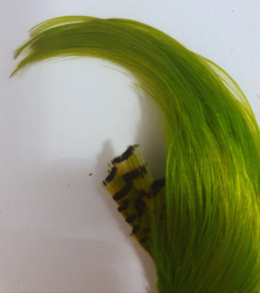 Nature's Spirit Fly Tying Golden Pheasant Crest - Fluorescent Chartreuse