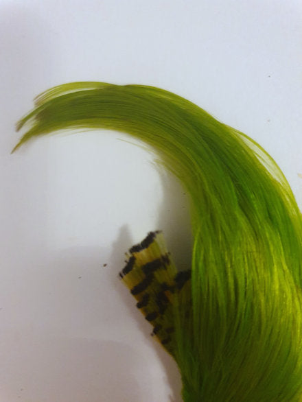 Nature's Spirit Fly Tying Golden Pheasant Crest - Fluorescent Chartreuse