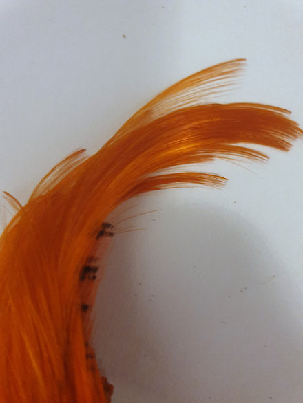 Nature's Spirit Fly Tying Golden Pheasant Crest - Fluorescent Orange