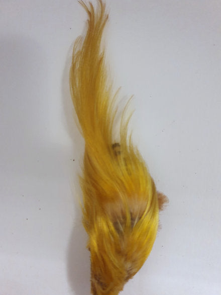 Nature's Spirit Fly Tying Golden Pheasant Crest - Natural