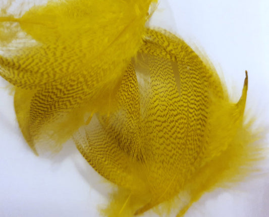 Nature's Spirit Fly Tying Mallard Flanks - Yellow