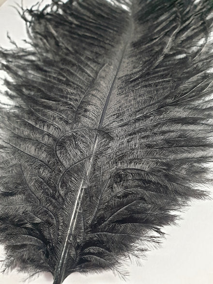 Nature's Spirit Fly Tying | Ostrich Plume - Black