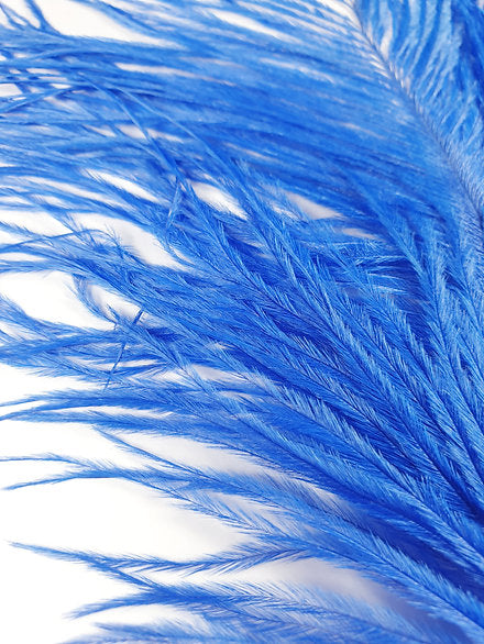 Nature's Spirit Fly Tying | Ostrich Plume - Royal Blue