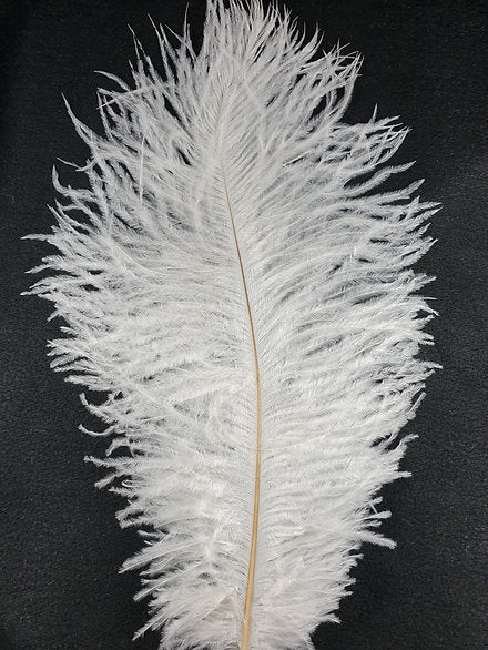 Nature's Spirit Fly Tying | Ostrich Plume - White