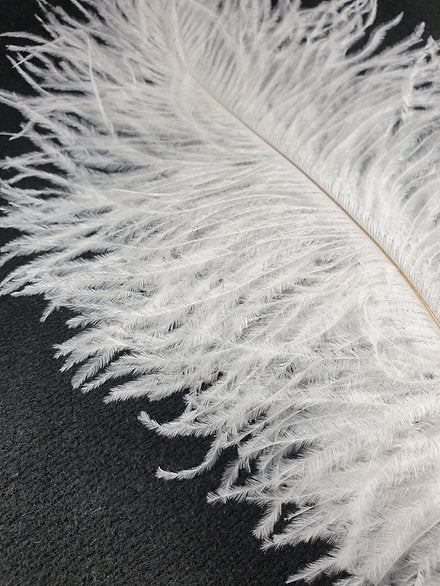 Nature's Spirit Fly Tying | Ostrich Plume - White