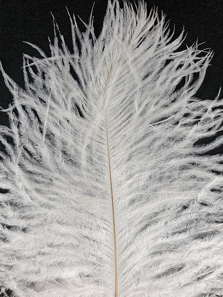 Nature's Spirit Fly Tying | Ostrich Plume - White