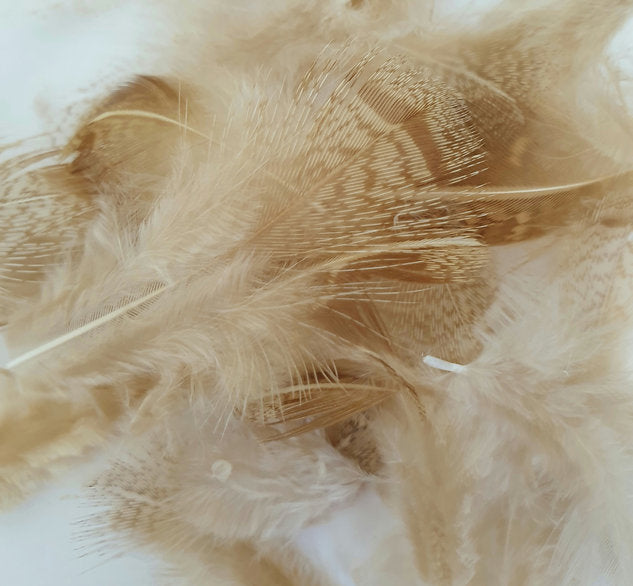 Nature's Spirit Fly Tying Premium Partridge Feathers - Bleached