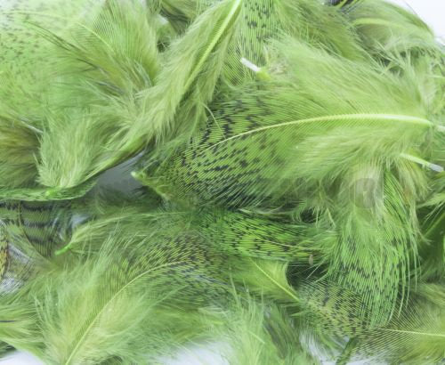 Nature's Spirit Fly Tying Premium Partridge Feathers - Caddis Green