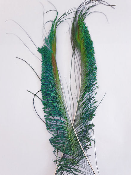 Turrall Fly Tying | Peacock Sword Feathers